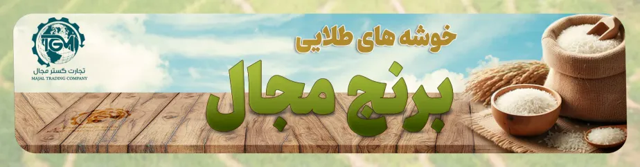 برنج مجال - هلدینگ تجارت گستر مجال